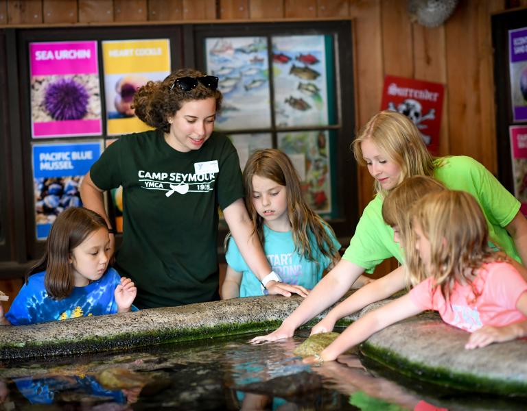 Marine Touch Tanks at YMCA Camp Seymour