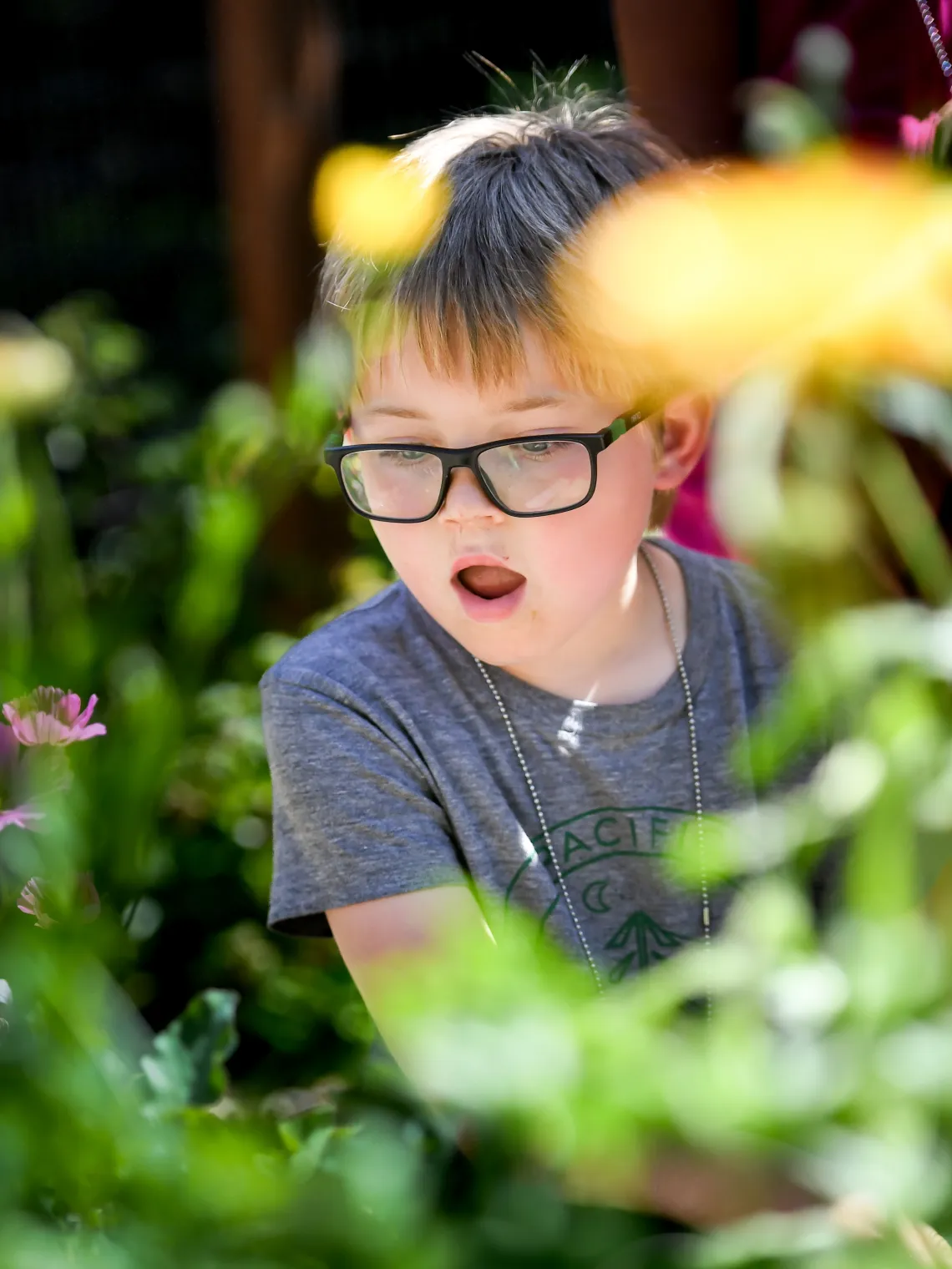 child looking at nature