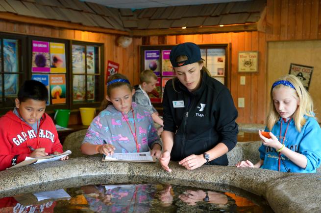 A group of people looking at a marine tank