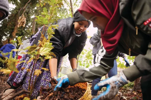 Planting Trees Community Event