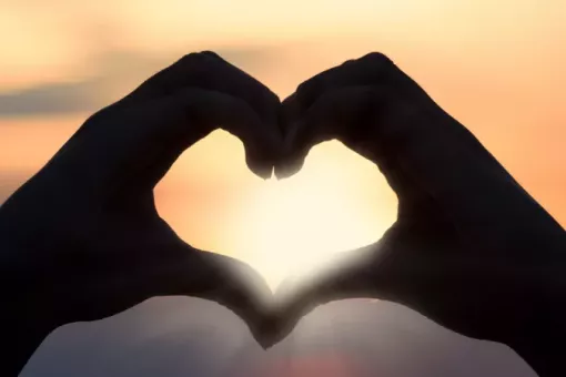 two hands come together to form a heart shape