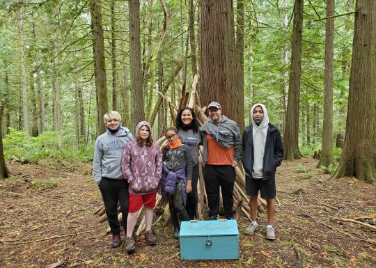 forest quest