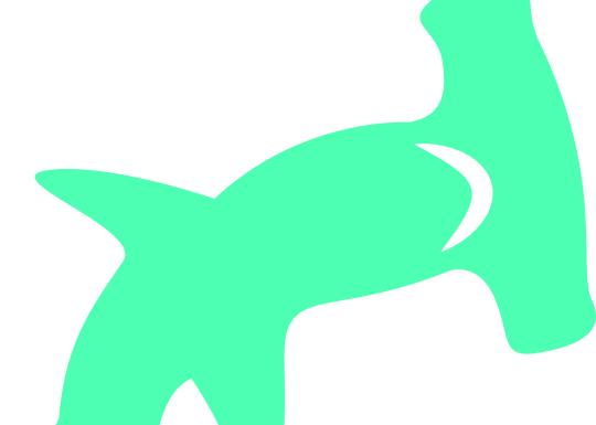 Haselwood Hammerheads swim team logo