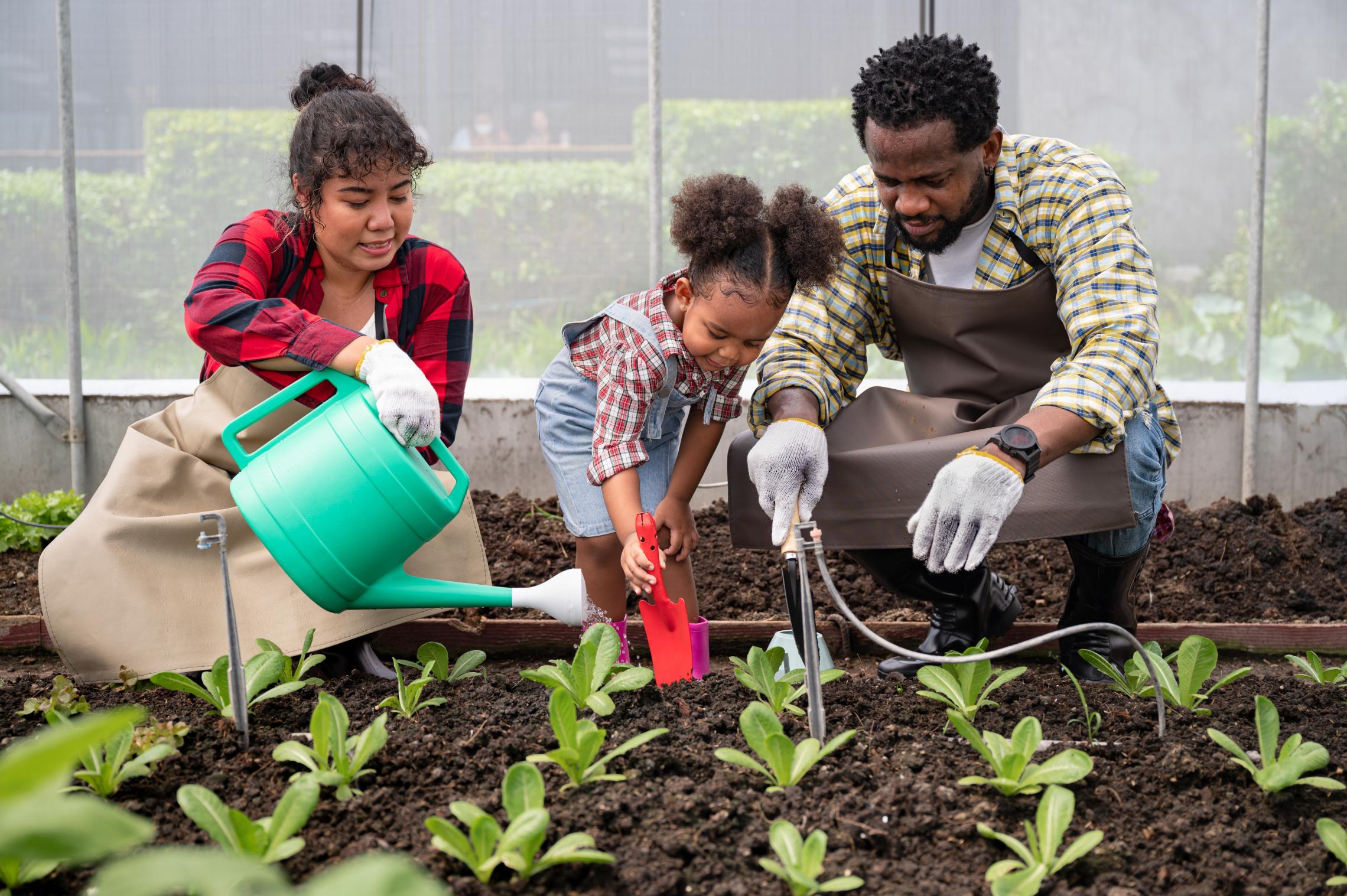 A family checking in on a community garden at the YMCA
