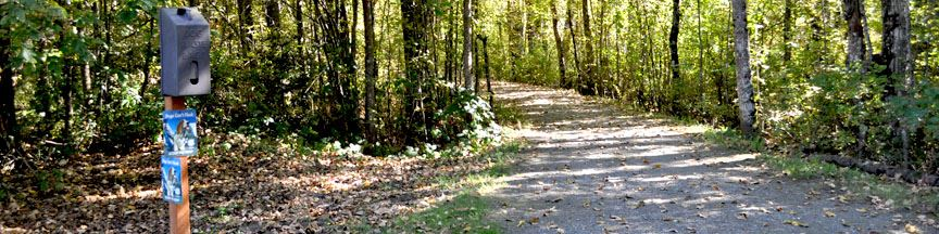 Outdoor Walk at Seely Lake Park