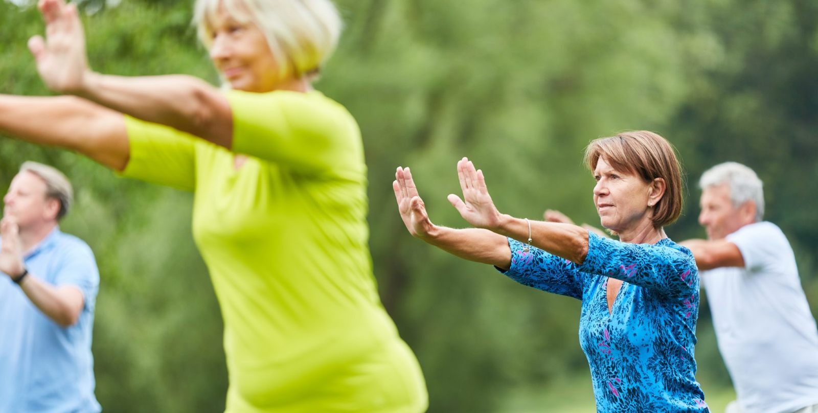 Tai Chi by the Pond