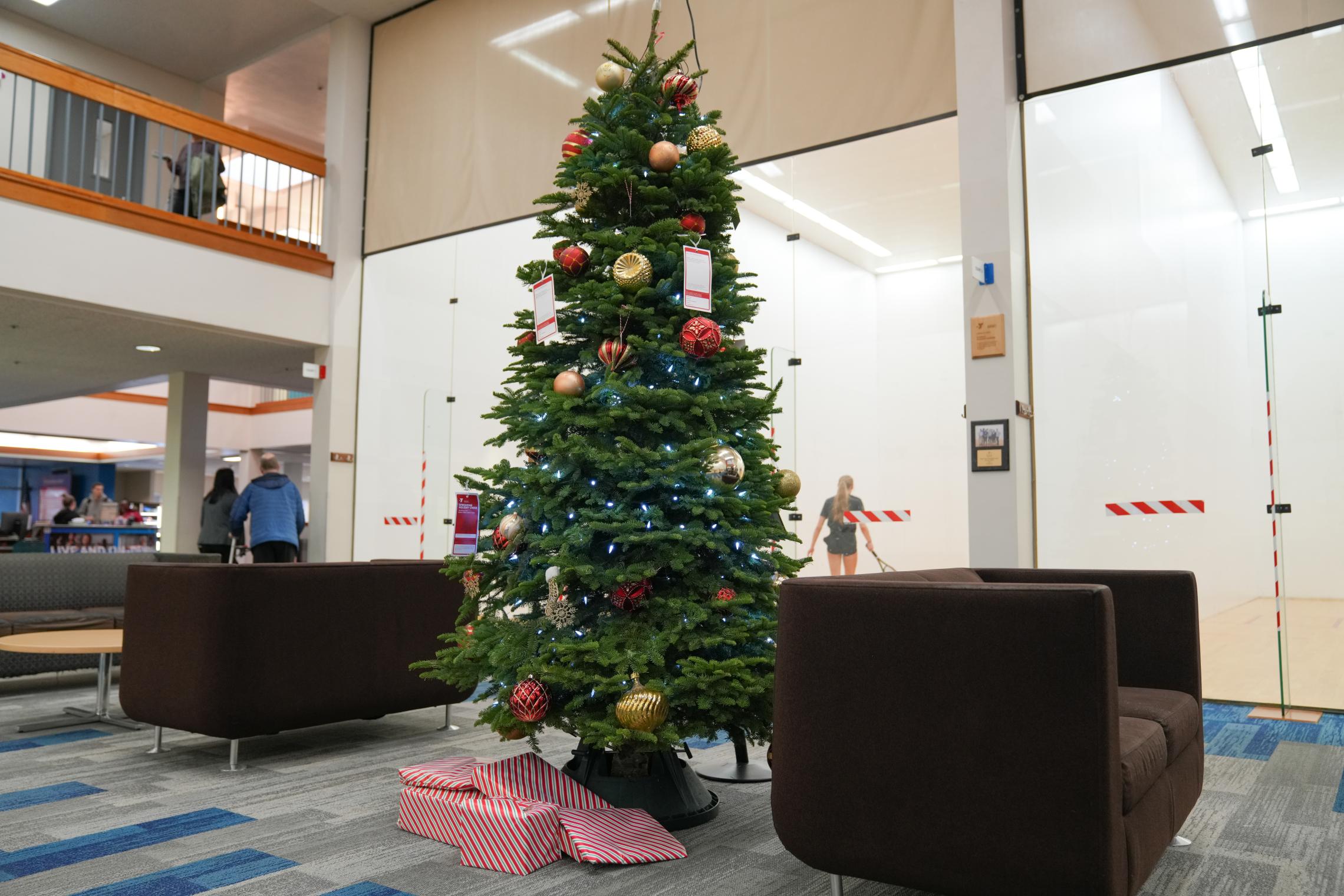 The Pearl Street Giving Tree