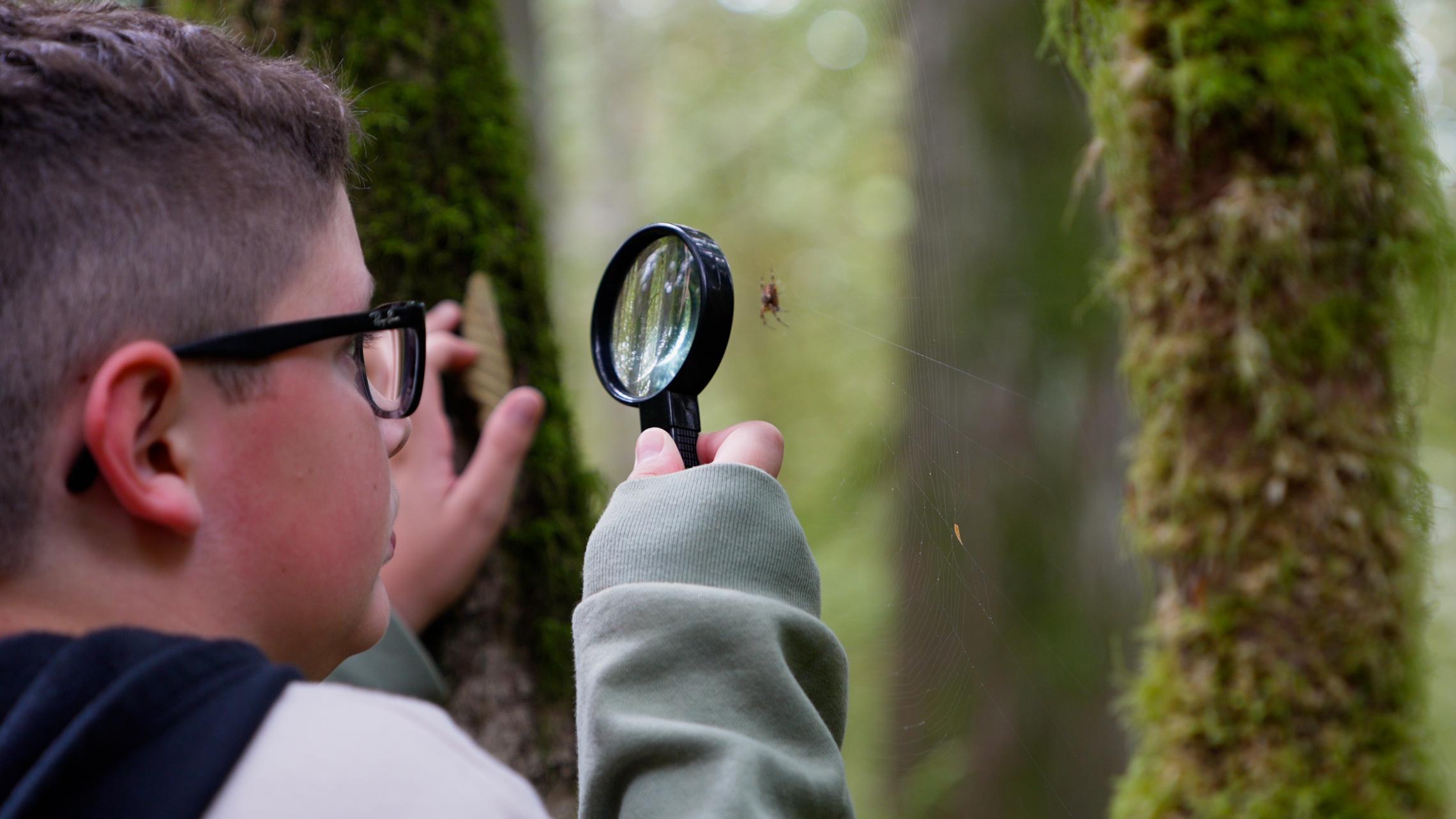 A boy looking at a spider and web through a looking glass in the forest