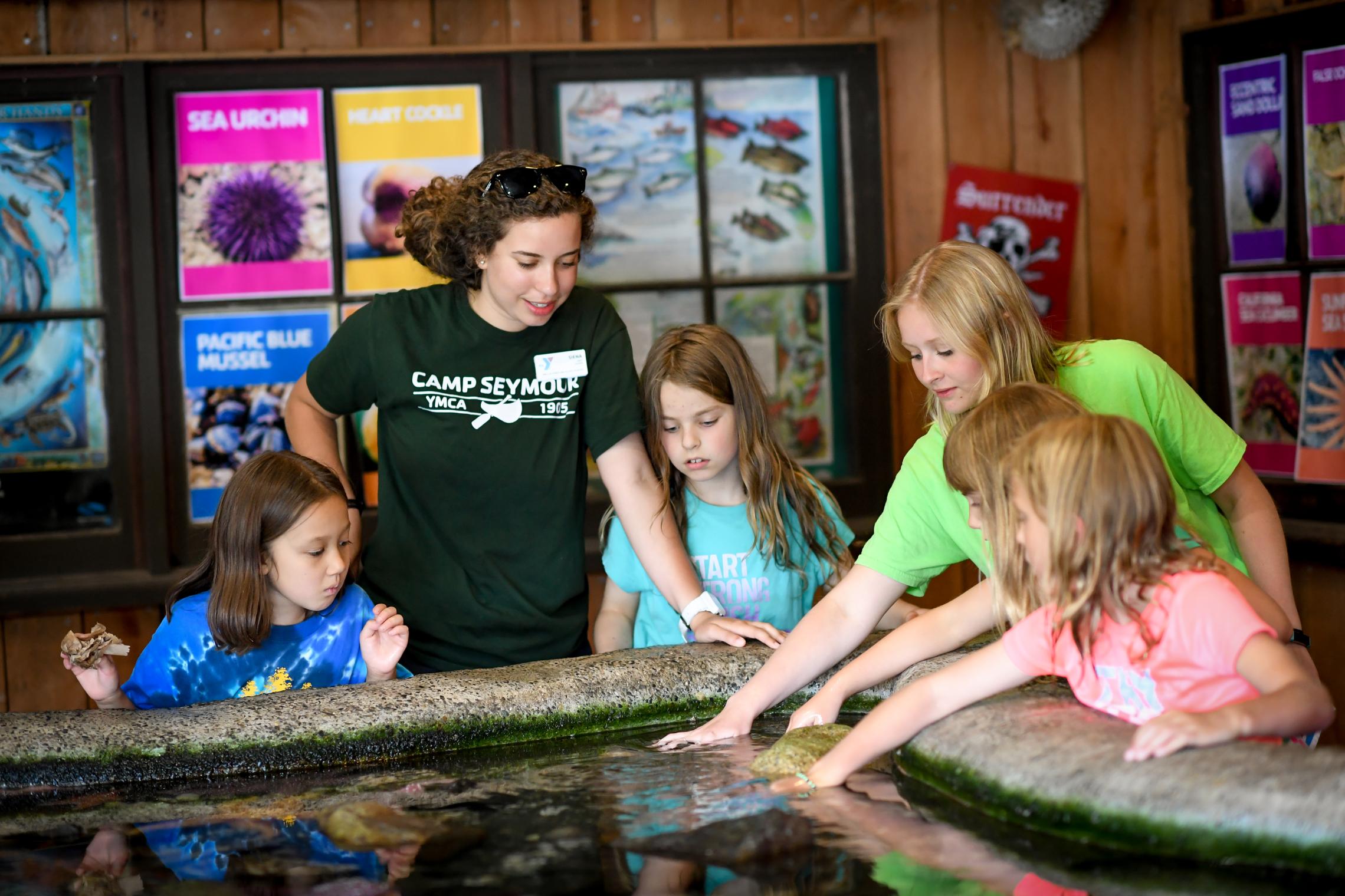 Camp Seymour staff member guides young campers as they explore a marine touch tank during an environmental education activity at YMCA Camp Seymour, encouraging hands-on learning and curiosity about marine life.