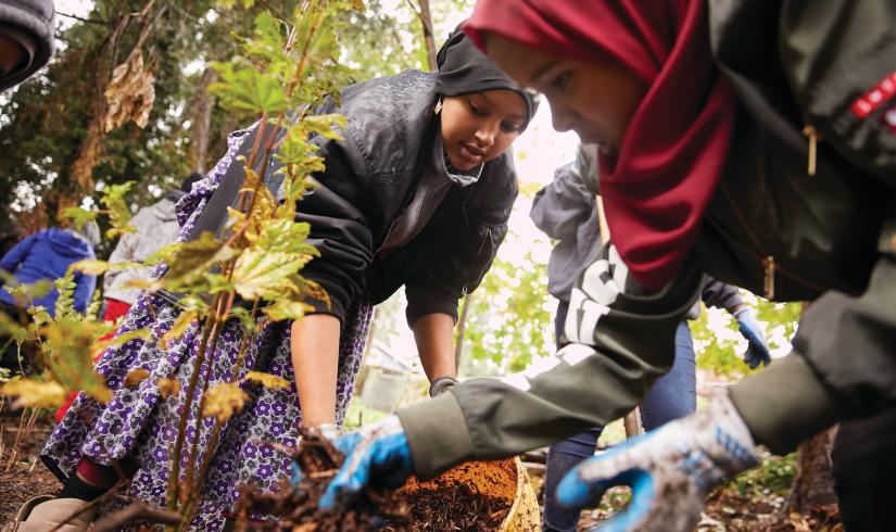 Planting Trees Community Event