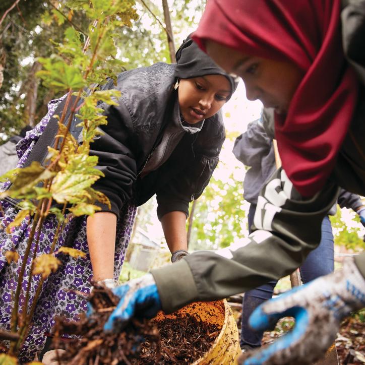 Planting Trees Community Event