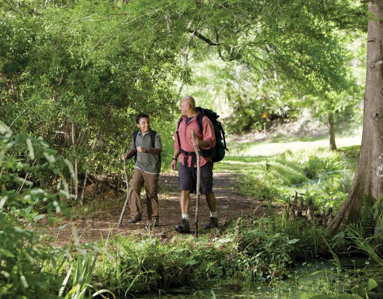 Father and son hiking through forest