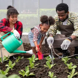 Family Watering the Garden Together