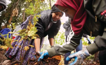 Planting Trees Community Event