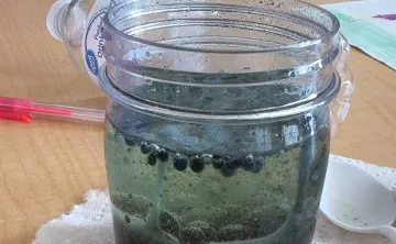 Lava lamp power scholar project